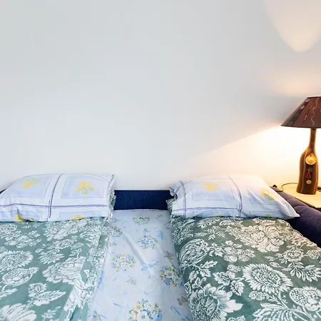 Zelengora Daire Tjentiste