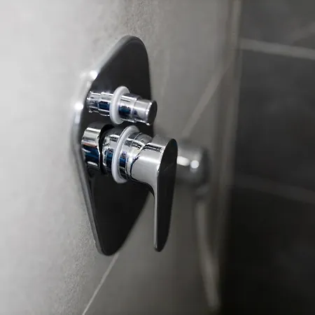 Daire Zelengora Tjentiste